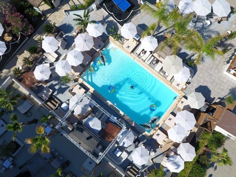 Bird's eye view, Pool view, Swimming pool