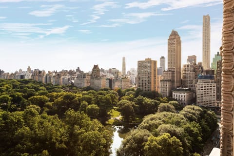 The Ritz-Carlton New York, Central Park Hotel in Midtown