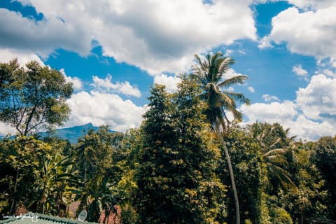 Thomasz Lodge Bed and Breakfast in Kandy