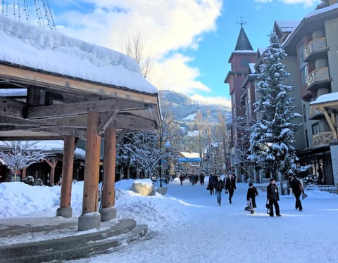 Property building, Winter, Mountain view