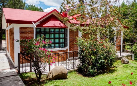 Property building, Day, Garden, Garden view