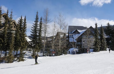 Property building, Natural landscape, Winter, Mountain view