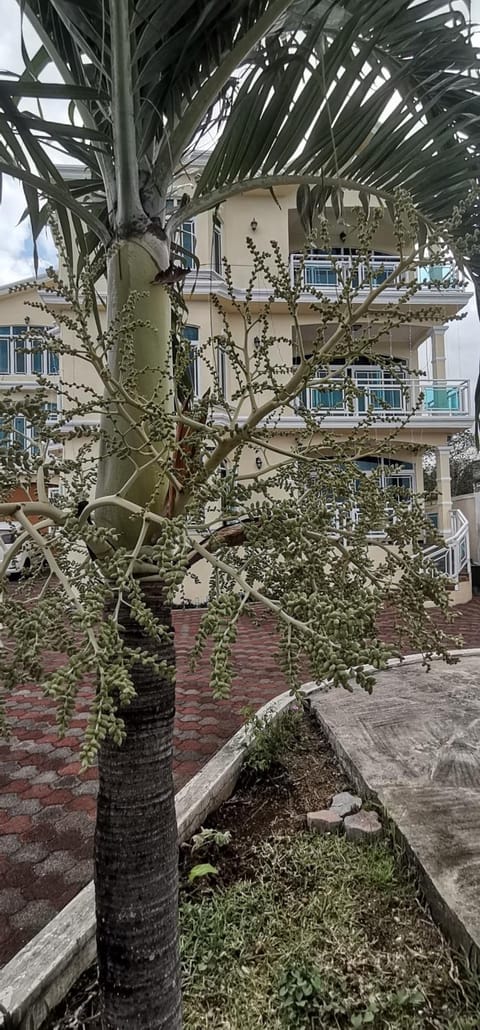 Property building, Garden, Garden view