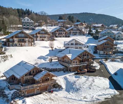 Bird's eye view, Winter