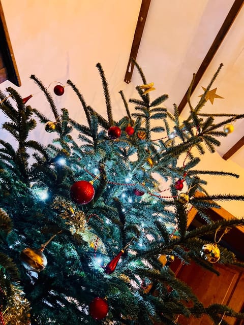 La Balade du Ricochet House in Wallonia, Belgium