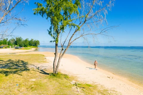 Nearby landmark, Natural landscape, Beach