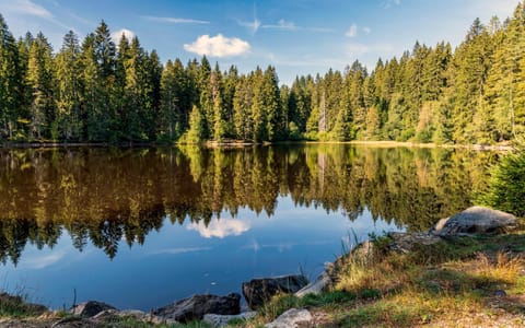 Off site, Natural landscape, Hiking, Lake view