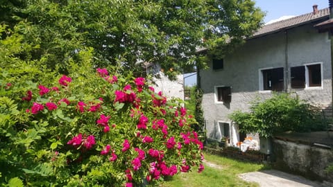 Facade/entrance, Garden