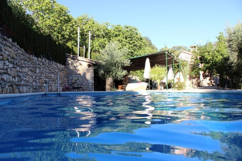 Day, Pool view, Swimming pool