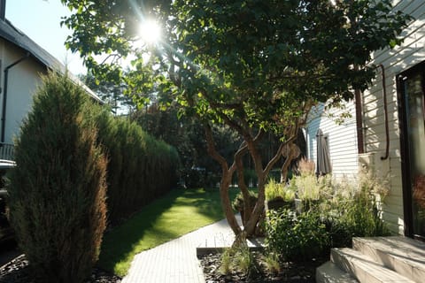 Day, Garden view