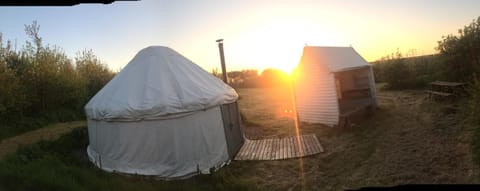 Mill Haven Place Glamping-yurt 1 Luxury tent in Marloes and St. Brides