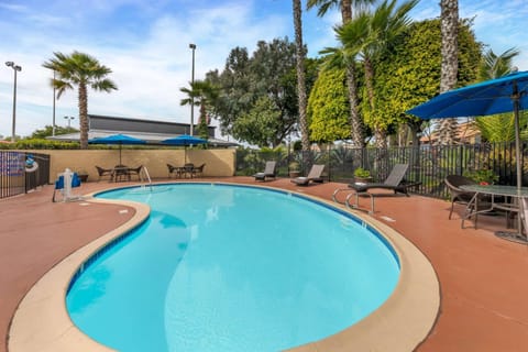 Pool view, Swimming pool