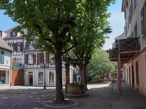 Les Appartements Saint-Martin Eigentumswohnung in Colmar