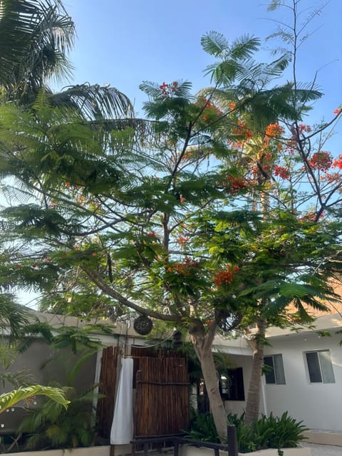 Garden, Garden view