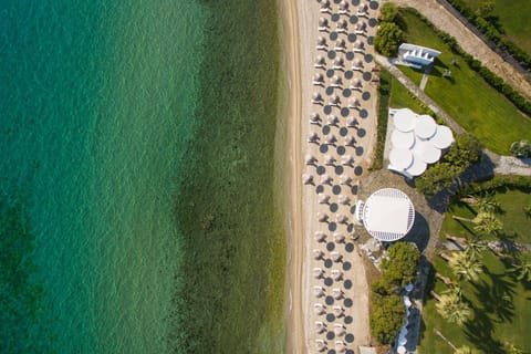 Kassandra Palace Seaside Resort Resort in Halkidiki