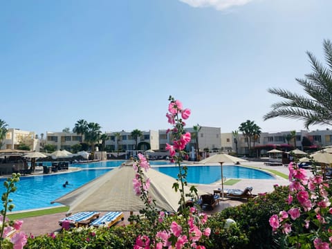 Sharm Reef Resort Resort in South Sinai Governorate