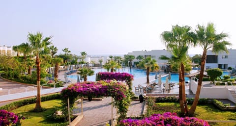 Sharm Reef Resort Resort in South Sinai Governorate