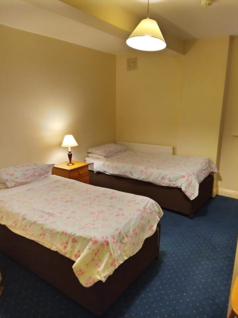 The Anchorage Guest House Chambre d’hôte in Waterford City