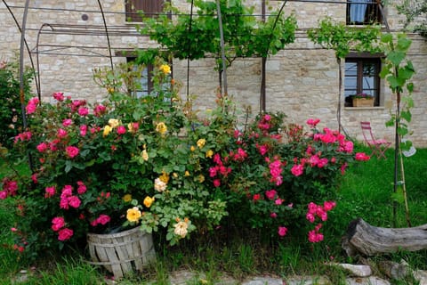 Facade/entrance, Garden