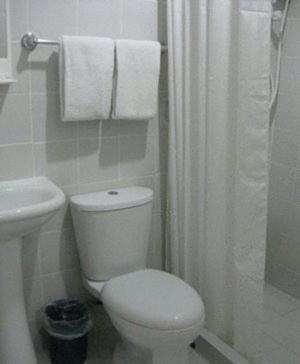 Shower, Toilet, Bathroom, towels