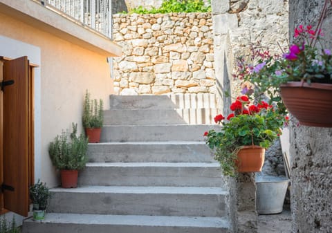 Property building, Area and facilities