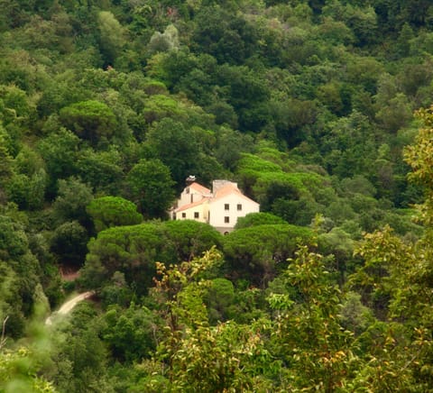 Le Petit Chateau Farm Stay in Liguria