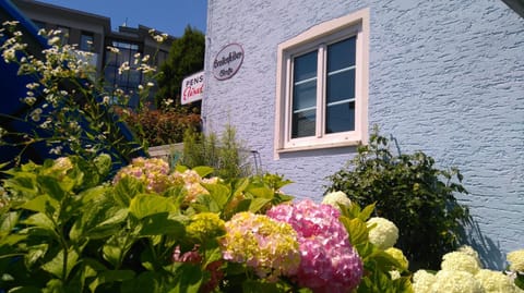 Property building, Facade/entrance, Spring, Garden