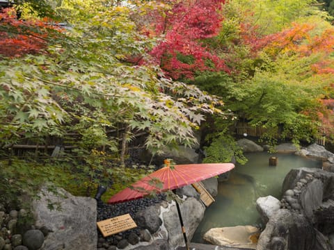 Hikyou Shirakawagensen Sansou Takefue Ryokan in Fukuoka Prefecture