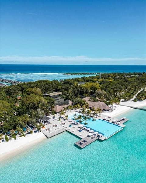 Day, Bird's eye view, Beach