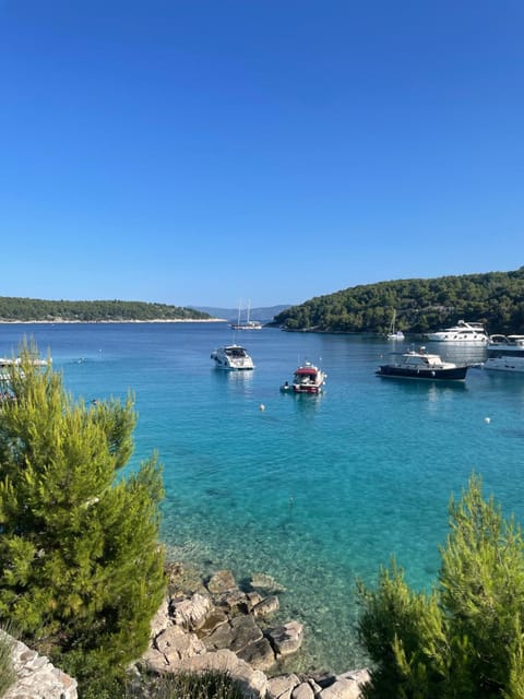Luxury Villa Kate on sea with heated pool Villa in Split-Dalmatia County