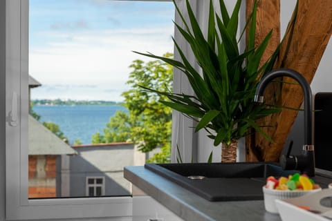 Kitchen or kitchenette, Sea view