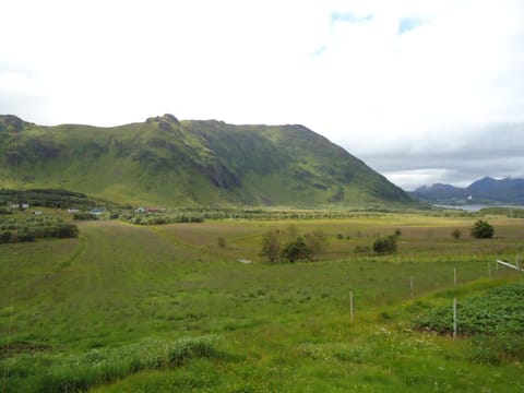 Peaceful Farm Condo in Lofoten
