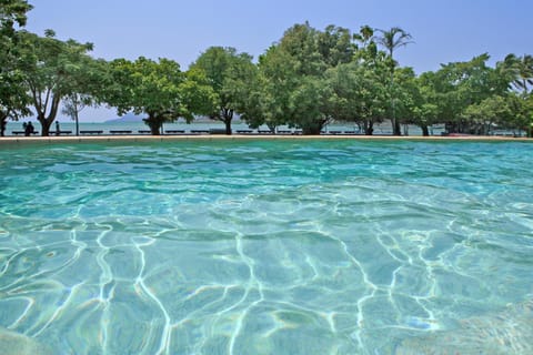 Natural landscape, Swimming pool, Swimming pool