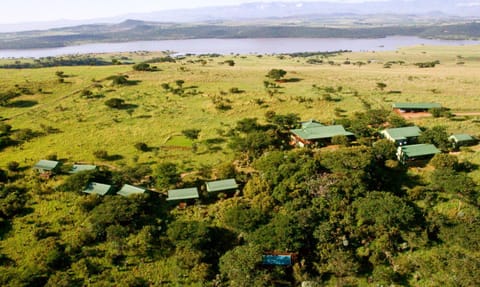 Three Tree Hill Lodge Nature lodge in KwaZulu-Natal