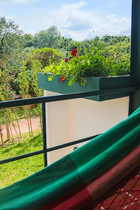 Balcony/Terrace, Garden view