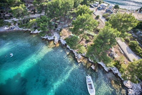 Natural landscape, Bird's eye view, Summer, Beach, On site, Pets