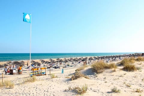 Nearby landmark, Beach