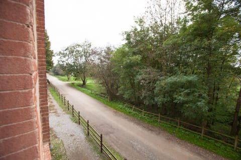 Garden, Street view