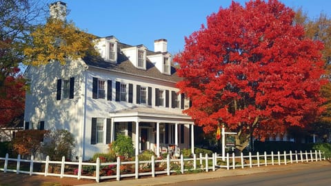 Property building, Garden view