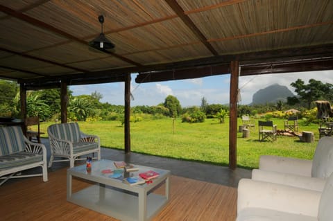 Garden, Balcony/Terrace