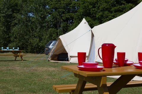 Herston Caravan & Camping Campground/ 
RV Resort in Swanage
