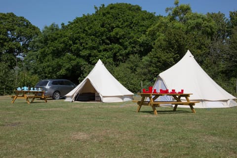 Herston Caravan & Camping Campground/ 
RV Resort in Swanage