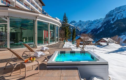 Winter, Garden, Hot Tub, Sauna, Spa and wellness centre/facilities, Swimming pool