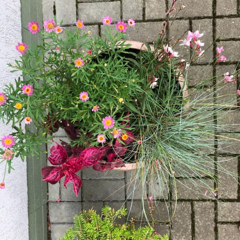Garden, Decorative detail