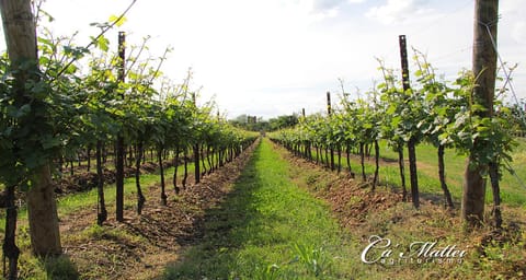 AGRITURISMO CA'MATTEI Farm Stay in Lake Garda