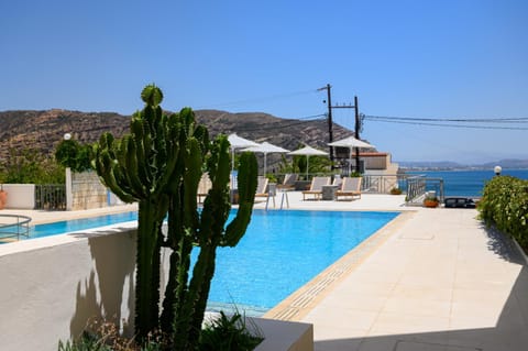 Pool view, Swimming pool, Swimming pool