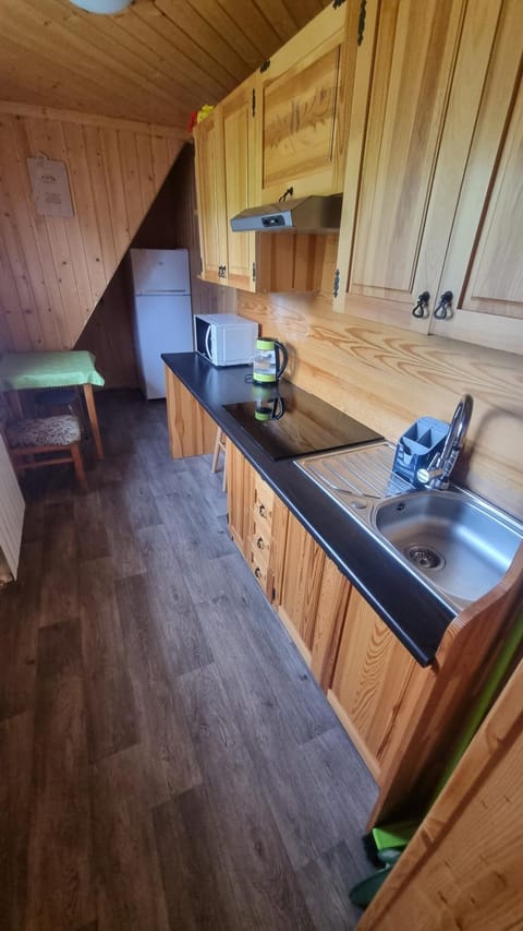 Kitchen or kitchenette, minibar, pet friendly, stove