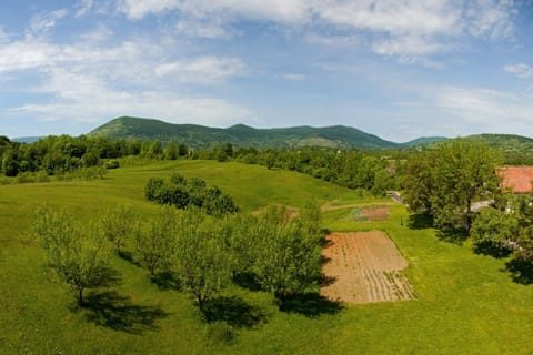 View (from property/room), Location, children, Family