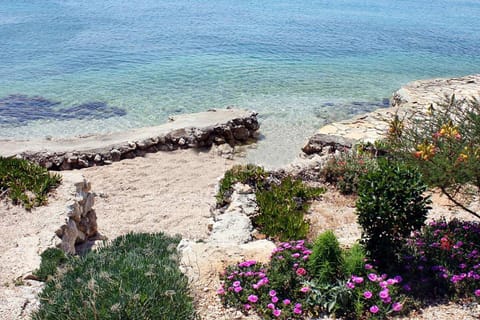 Neighbourhood, Natural landscape, Decorative detail, Beach