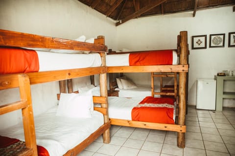 Amphitheatre Backpackers Lodge Hostal in KwaZulu-Natal